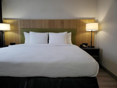 Imagen de la habitación del Hotel Country Inn and Suites By Radisson, Buford At Mall Of Georgia, Ga. Foto 9