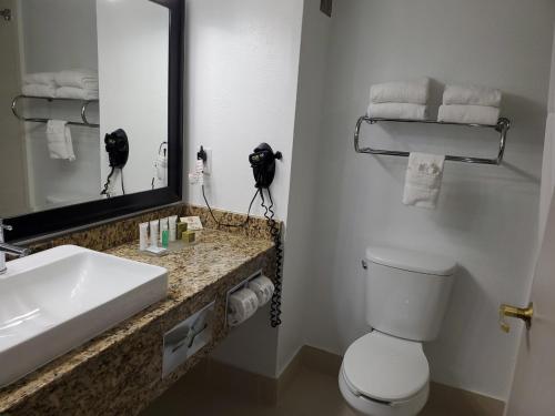 Imagen de la habitación del Hotel Country Inn and Suites By Radisson, Buford At Mall Of Georgia, Ga. Foto 17