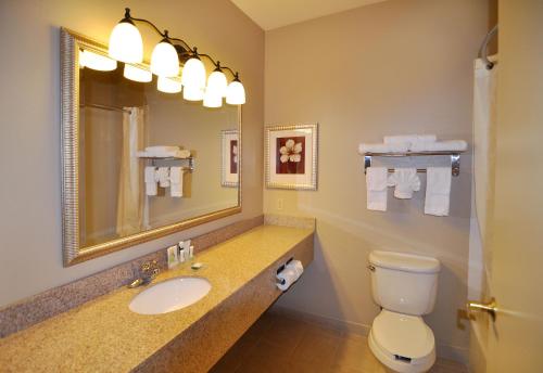 Imagen de la habitación del Hotel Country Inn and Suites By Radisson, Conway, Ar. Foto 5