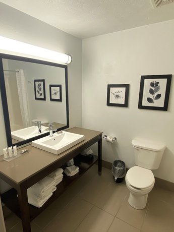 Imagen de la habitación del Hotel Country Inn and Suites By Radisson, Council Bluffs, Ia. Foto 10