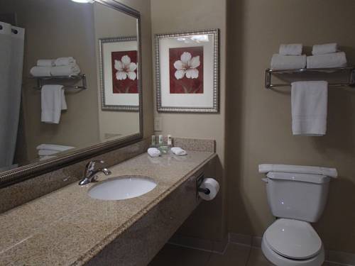 Imagen de la habitación del Hotel Country Inn and Suites By Radisson, Galveston Beach, Tx. Foto 10