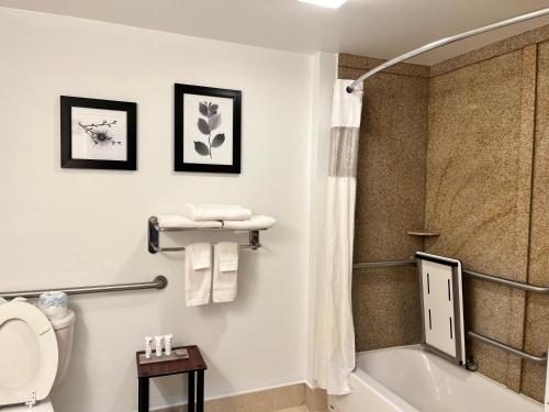 Imagen de la habitación del Hotel Country Inn and Suites By Radisson, Harrisburg - Hershey West, Pa. Foto 16
