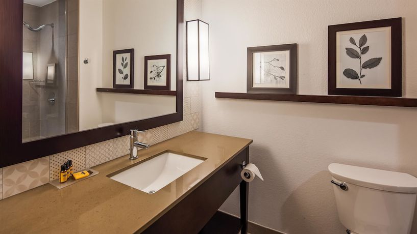 Imagen de la habitación del Hotel Country Inn and Suites By Radisson Houston Westchase-westheimer. Foto 12