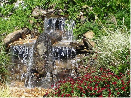 Imagen general del Hotel Country Inn and Suites By Radisson, Jackson, Tn. Foto 1