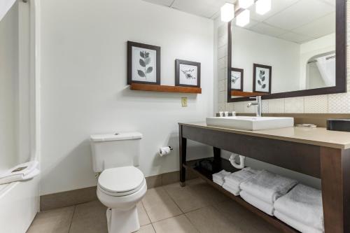 Imagen de la habitación del Hotel Country Inn and Suites By Radisson, Lumberton, Nc. Foto 14