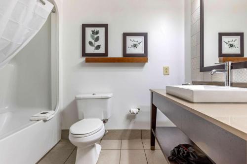 Imagen general del Hotel Country Inn and Suites By Radisson, Lumberton, Nc. Foto 5