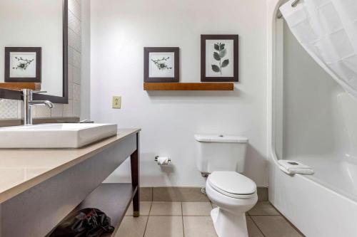 Imagen general del Hotel Country Inn and Suites By Radisson, Lumberton, Nc. Foto 6
