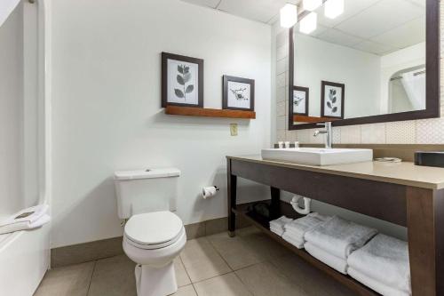 Imagen general del Hotel Country Inn and Suites By Radisson, Lumberton, Nc. Foto 7