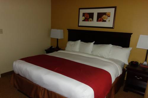 Imagen de la habitación del Hotel Country Inn and Suites By Radisson, Rome, Ga. Foto 2