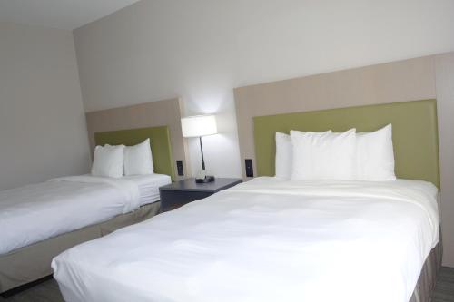 Imagen de la habitación del Hotel Country Inn and Suites By Radisson, Round Rock, Tx. Foto 8