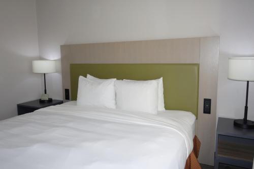 Imagen de la habitación del Hotel Country Inn and Suites By Radisson, Round Rock, Tx. Foto 9