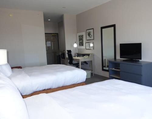 Imagen de la habitación del Hotel Country Inn and Suites By Radisson, Round Rock, Tx. Foto 12