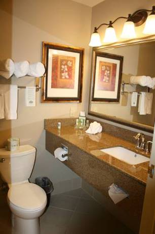 Imagen de la habitación del Hotel Country Inn and Suites By Radisson, Tampa Airport North, Fl. Foto 4
