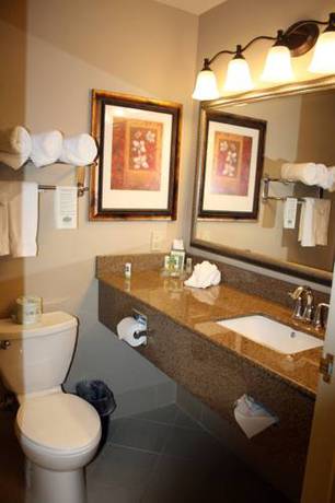 Imagen de la habitación del Hotel Country Inn and Suites By Radisson, Tampa Airport North, Fl. Foto 5