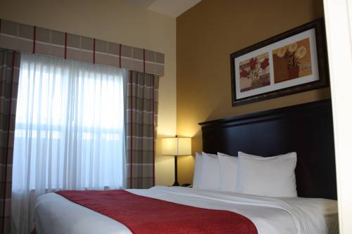 Imagen de la habitación del Hotel Country Inn and Suites By Radisson, Tampa Airport North, Fl. Foto 8