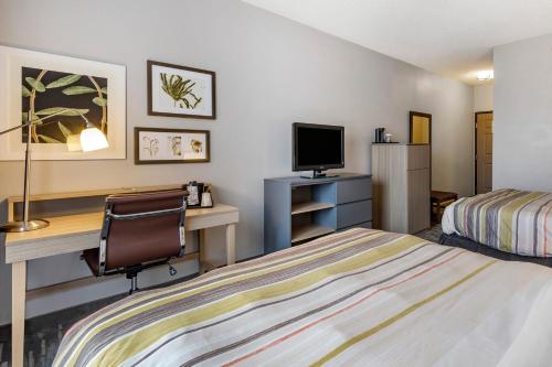Imagen de la habitación del Hotel Country Inn and Suites by Radisson, Aiken, SC. Foto 10
