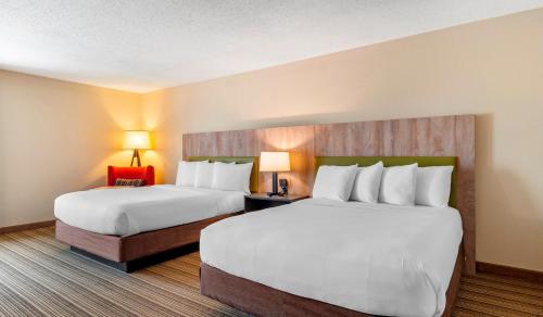 Imagen de la habitación del Hotel Country Inn and Suites by Radisson, Atlanta Galleria Ballpark. Foto 6