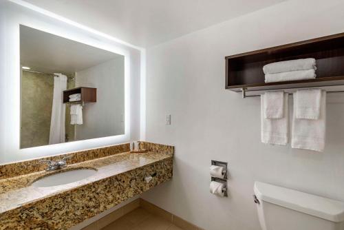 Imagen general del Hotel Country Inn and Suites by Radisson, Atlanta Galleria Ballpark. Foto 3