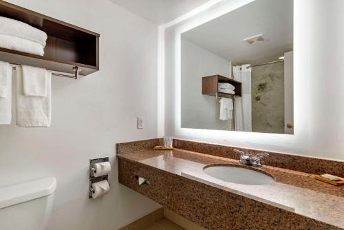 Imagen general del Hotel Country Inn and Suites by Radisson, Atlanta Galleria Ballpark. Foto 4