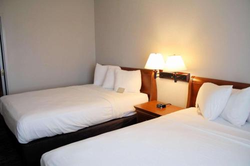 Imagen de la habitación del Hotel Country Inn and Suites by Radisson, BWI Airport (Baltimore), MD. Foto 17