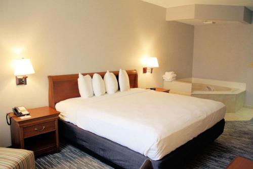 Imagen de la habitación del Hotel Country Inn and Suites by Radisson, BWI Airport (Baltimore), MD. Foto 19