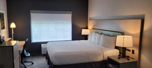 Imagen de la habitación del Hotel Country Inn and Suites by Radisson, Canton, GA. Foto 10