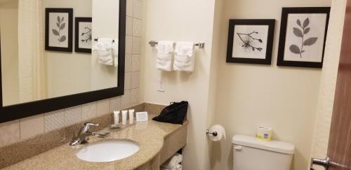 Imagen de la habitación del Hotel Country Inn and Suites by Radisson, Canton, GA. Foto 14