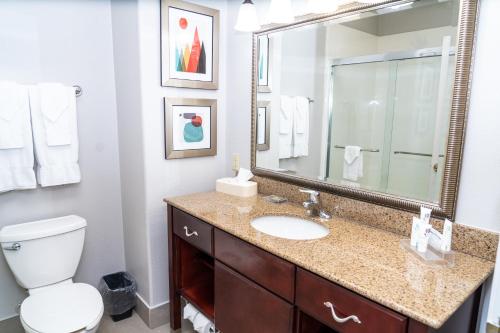 Imagen de la habitación del Hotel Country Inn and Suites by Radisson, College Station. Foto 11