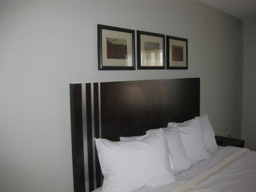 Imagen de la habitación del Hotel Country Inn and Suites by Radisson, Dearborn. Foto 12