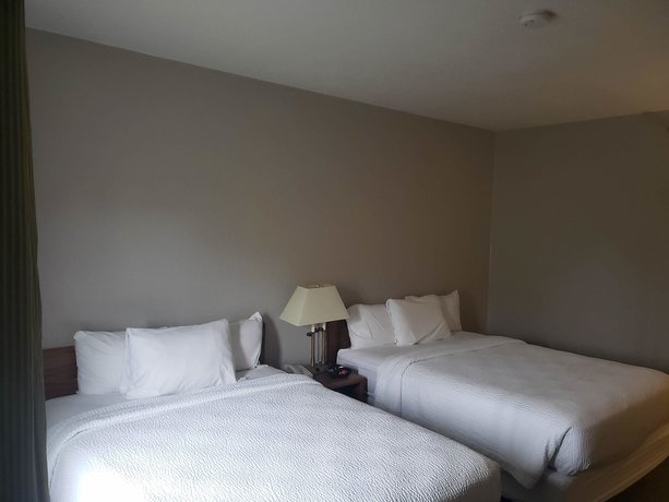 Imagen de la habitación del Hotel Country Inn and Suites by Radisson, Fairview Heights, IL. Foto 5