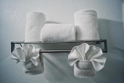 Imagen general del Hotel Country Inn and Suites by Radisson, Grand Rapids Airport, MI. Foto 7