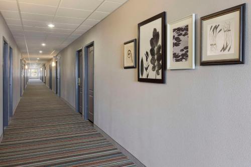 Imagen general del Hotel Country Inn and Suites by Radisson, Harrisonburg. Foto 3