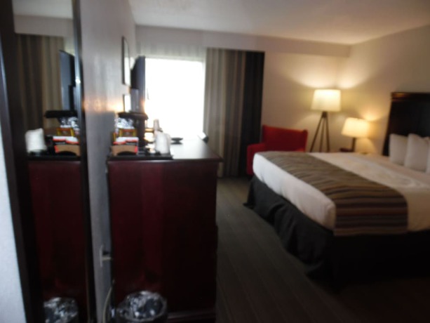 Imagen de la habitación del Hotel Country Inn and Suites by Radisson, Jacksonville I-95 South, FL. Foto 3
