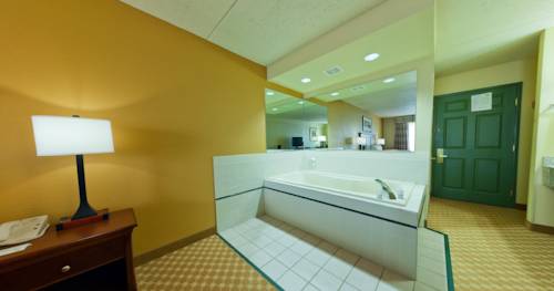 Imagen de la habitación del Hotel Country Inn and Suites by Radisson, Kalamazoo, MI. Foto 8