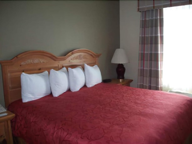 Imagen de la habitación del Hotel Country Inn and Suites by Radisson, Mount Morris, NY. Foto 4