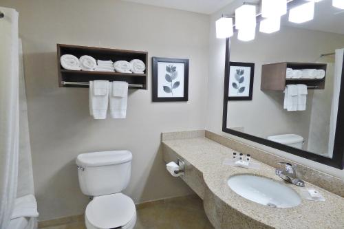 Imagen de la habitación del Hotel Country Inn and Suites by Radisson, Tampa/Brandon, FL. Foto 6
