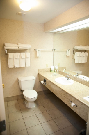 Imagen de la habitación del Hotel Country Inns and Suites. Foto 4