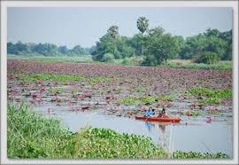 Imagen general del Hotel Country Lake Nature Lodge. Foto 8