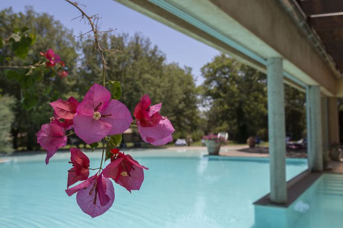 Imagen de la piscina del Hotel Country Mandra Edera. Foto 16