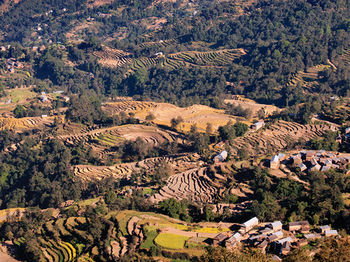 Imagen de los exteriores del Hotel Country Villa. Foto 11