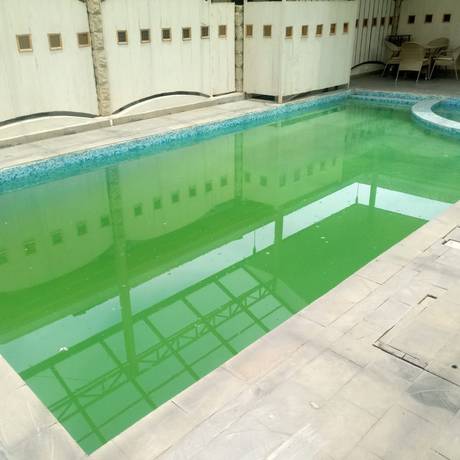 Imagen de la piscina del Hotel Countryhouse Inn. Foto 15
