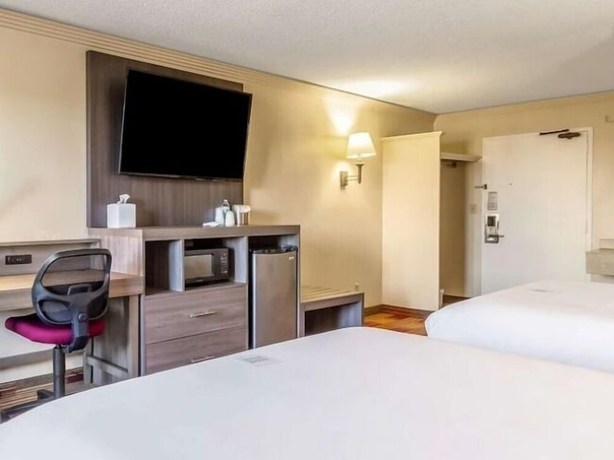 Imagen de la habitación del Hotel Countryside Suites Kansas City Independence I-70e Sports Complex. Foto 12