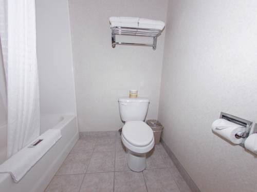 Imagen de la habitación del Hotel Countryside Suites Lincoln. Foto 2