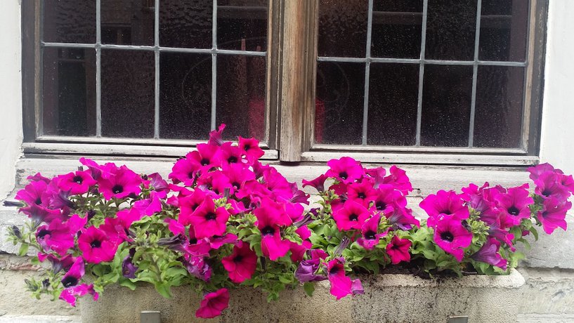 Imagen general del Hotel Cour St Georges. Foto 8