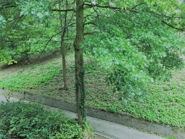 Imagen de la habitación del Hotel Courage Waalkade. Foto 11