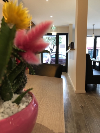 Imagen de los interiores del Hotel Courbet. Foto 17