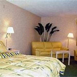 Imagen de la habitación del Hotel Court Plaza Inn and Suites. Foto 7