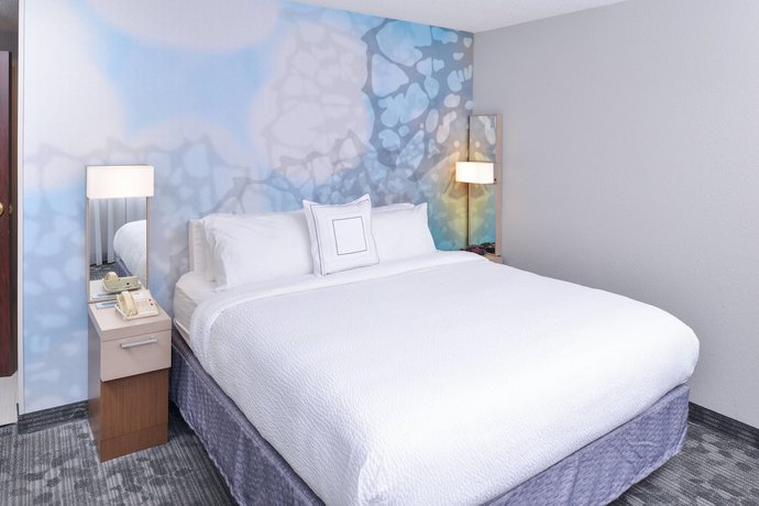 Imagen de la habitación del Hotel Courtyard Atlanta Suwanee. Foto 8