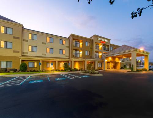 Imagen general del Hotel Courtyard By Marriott Albany. Foto 2