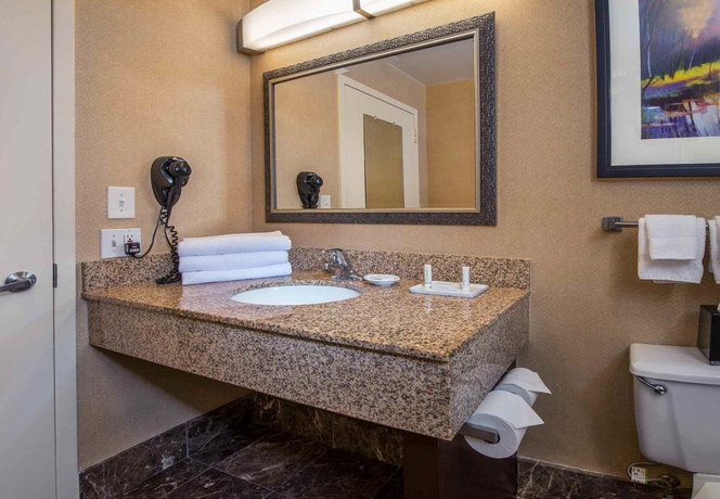 Imagen de la habitación del Hotel Courtyard By Marriott Arlington Crystal City/reagan National. Foto 6